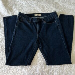 GAP Indigo True Skinny Jeans